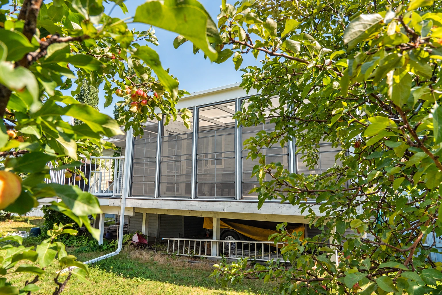 A raised three-season sunroom with screened windows is framed by leafy fruit tree branches.